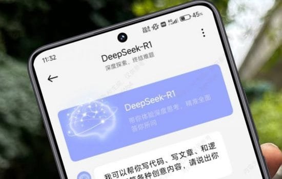 DeepSeek