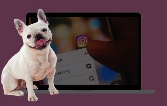 тренди в Instagram