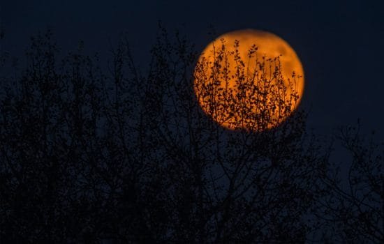 Хелловін по-українськи