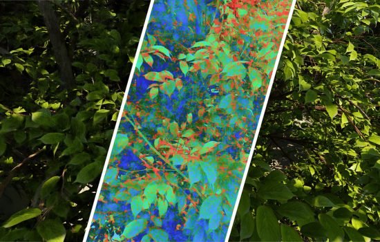 Intel Computer Graphics Video Quality Metric