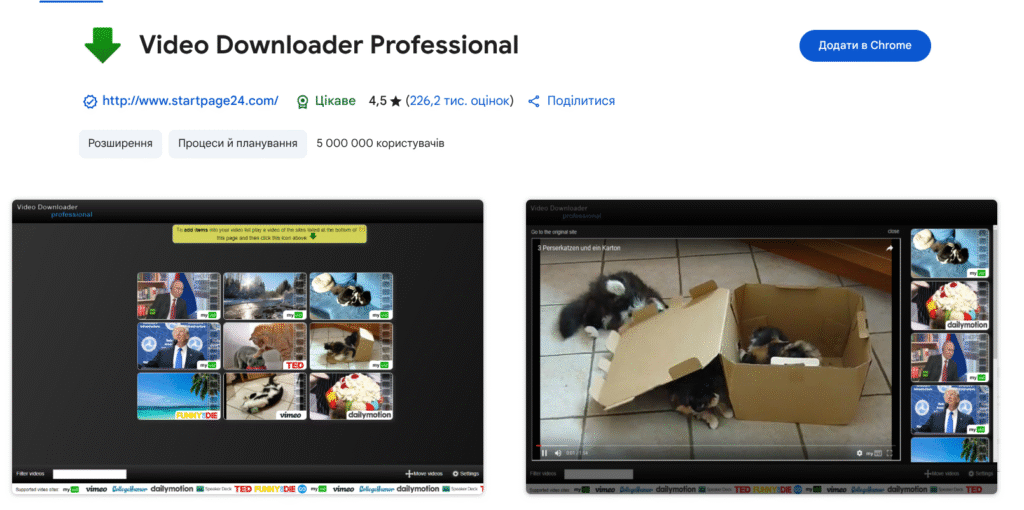 Video Downloader Professional