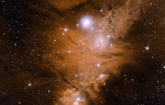 Скупчення NGC 2264