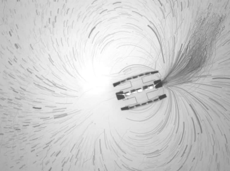 У США науковці створили найменших автономних роботів у світі