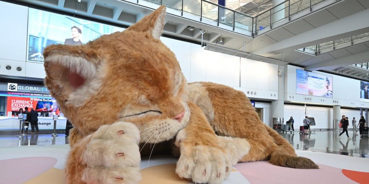 Гігантський кіт у Гонконзі: інтерактивний арт-об'єкт, що реагує на дотики